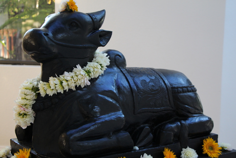 Nandi